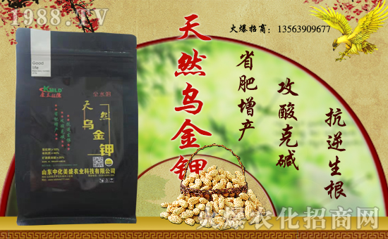 лʢvr(nng)W(wng)_(ki)W(wng)j(lu)