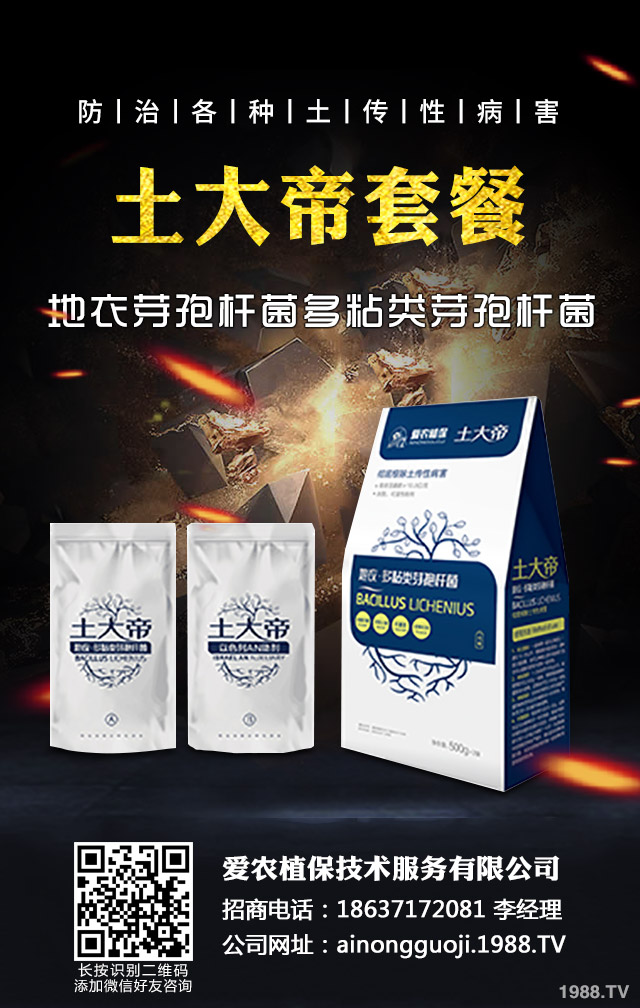 ﲥСô|(zh)ﲥС|(zh)Ҫc