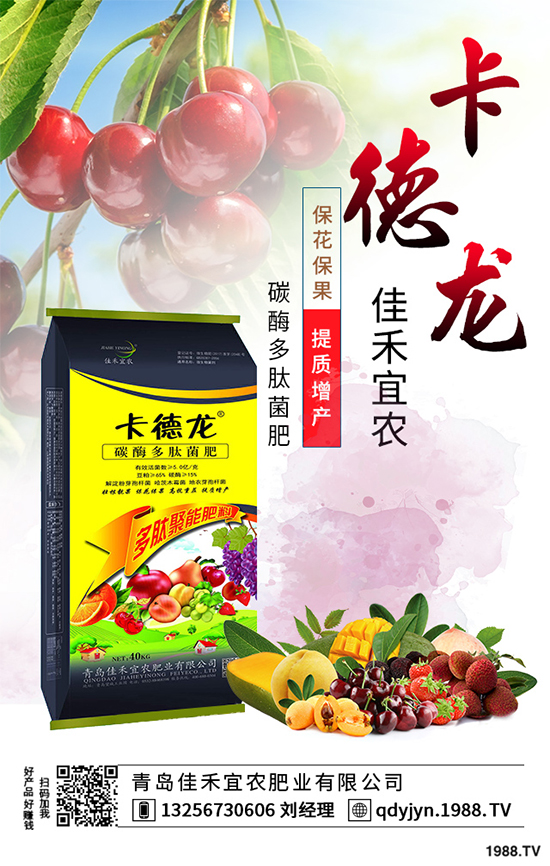 白菜不包心的原因？白菜結(jié)球包心期的管理要點