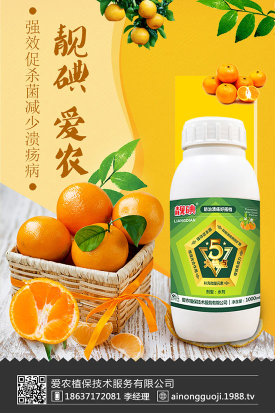 西蘭花如何種植?西蘭花種植時(shí)間及方法!