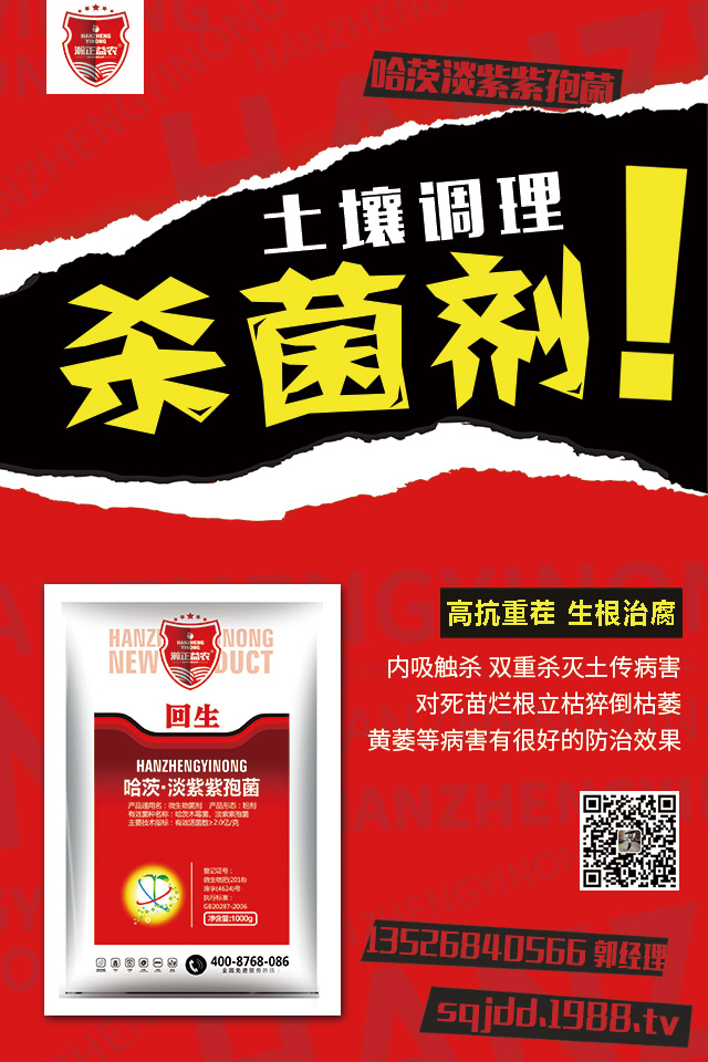 ~Ƭ푪(yng)ԓôA(y)~ƬA(y)ʩ