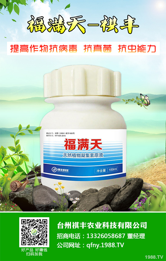 吃萵苣有哪些好處?常見(jiàn)萵苣的做法