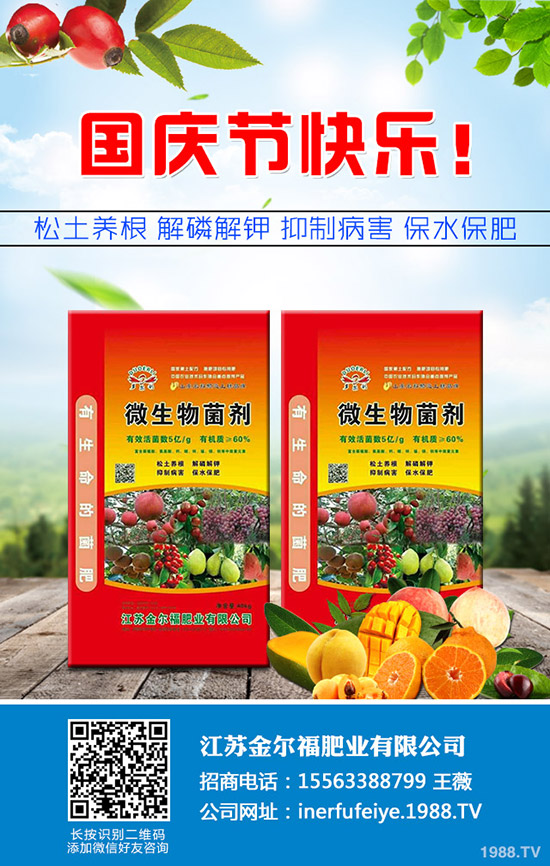 秋季香菜如何種植?香菜種植時間及種植技術(shù)、管理注意事項!