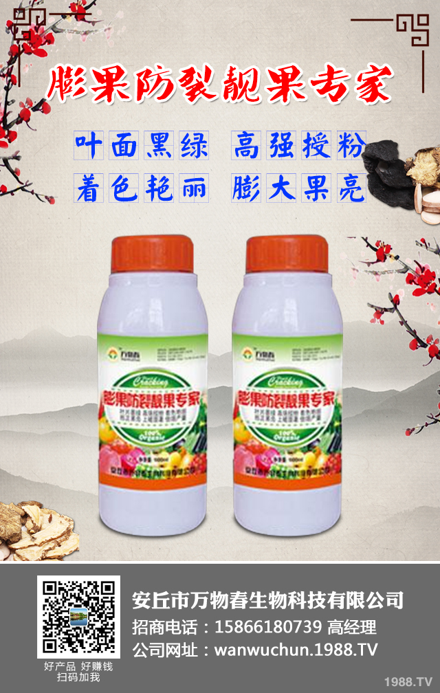 如何預防草莓畸形?草莓畸形防治技巧