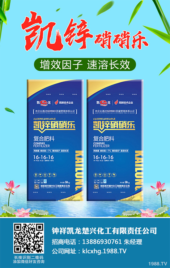 萵苣黑斑病是如何發(fā)生的?有哪些危害?萵苣黑斑病防治措施