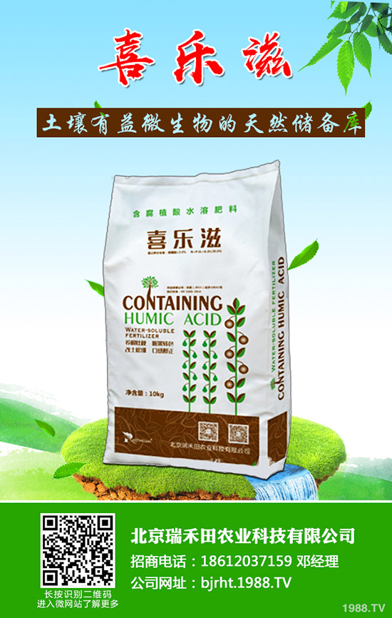 草莓緩苗期如何管理?草莓苗期管理注意事項!