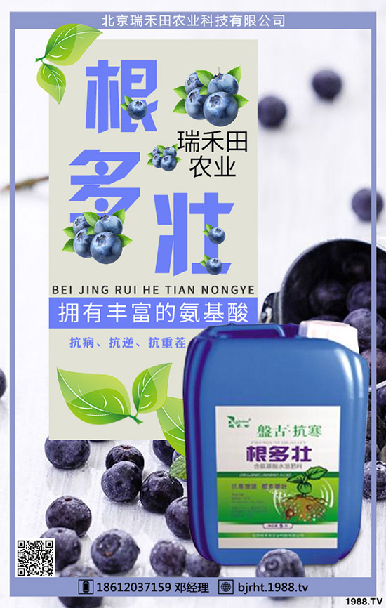 西紅柿什么時(shí)間種植,西紅柿種植技巧