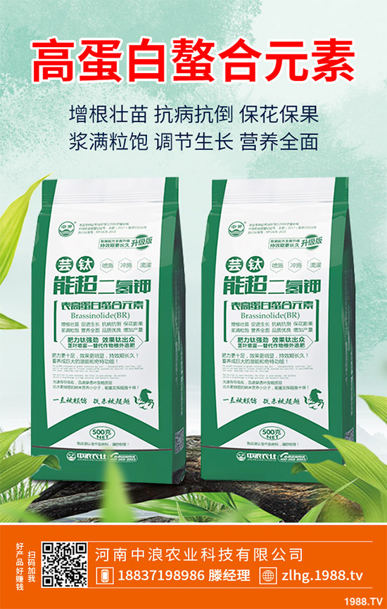 露地卷心菜什么時(shí)候種植?露地卷心菜種植技術(shù)大全