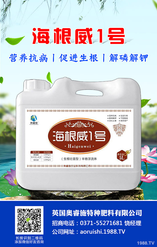 吃芋頭有哪些好處，芋頭的營養(yǎng)價值及食用禁忌！