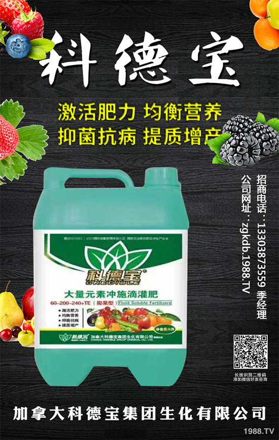 九月種什么蔬菜比較好?2019年9月蔬菜種植指南