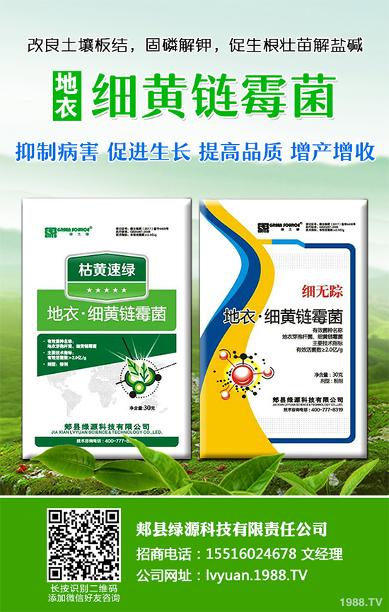 九月種什么蔬菜比較好?2019年9月蔬菜種植指南