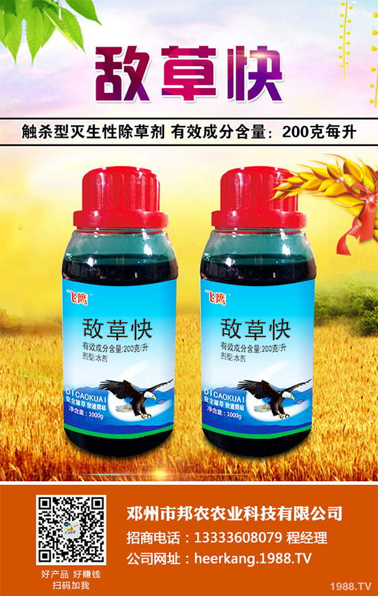 Q2023ȫòݸ ݶؿƌW(xu)C(j)