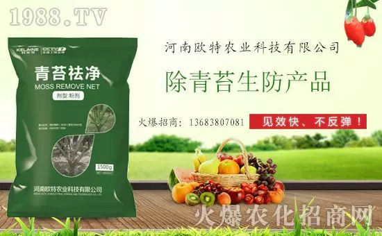 ̦Ƀ̦oۙ