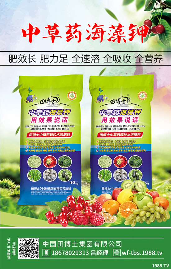 NֲٍؘX(qin)ؘǷNֲǰЧ