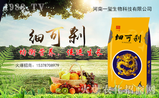 һtףȫт경ӭ{f⣡