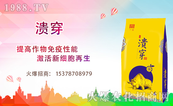 һtףȫт경ӭ{f