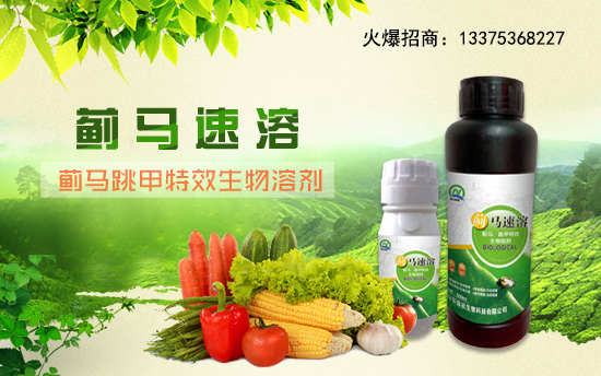 【山東強(qiáng)農(nóng)生物】祝愿一路陪伴的朋友們身體健康,萬(wàn)事如意!