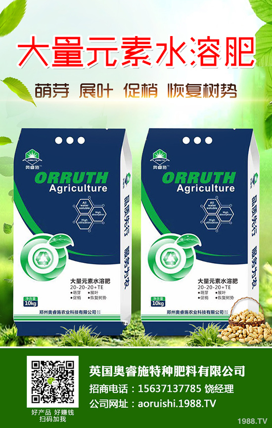 黑玉米如何種植?黑玉米的高產(chǎn)栽培技術(shù)