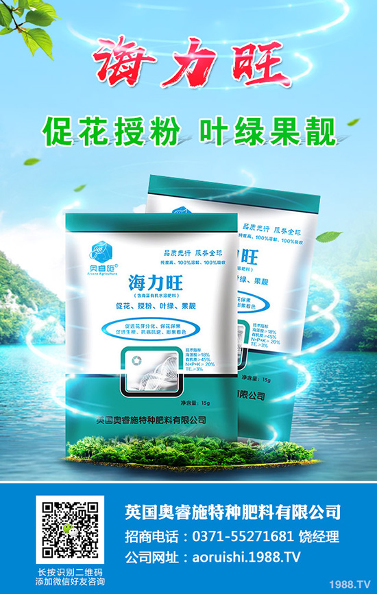 F(xin)ڷNֲɳǽ߀ٍXɳǽ۷Nֲg(sh)ȫ