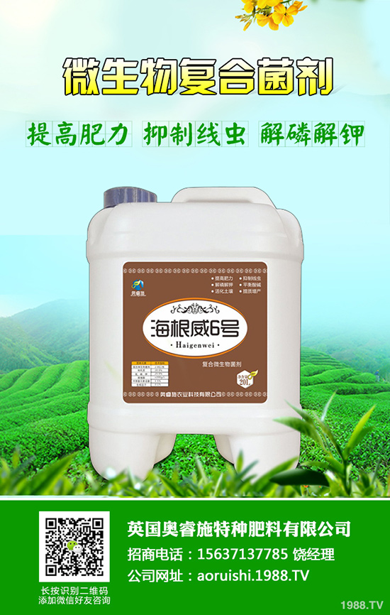 柚子種植技術(shù)!柚子栽種要注意些什么?