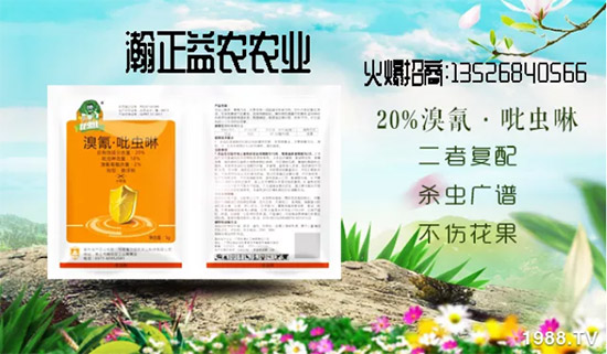 【瀚正益農(nóng)】祝廣大經(jīng)銷商2020年事業(yè)騰飛!鼠年大吉!新年好!