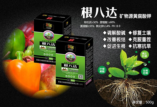 【英國(guó)力格】祝您2020年心想事成!萬(wàn)事如意!鼠年大吉!