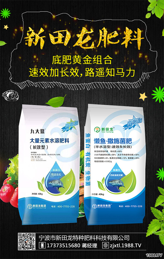 【寧波市新田龍】祝大家在新的一年里身體健康,萬事如意!