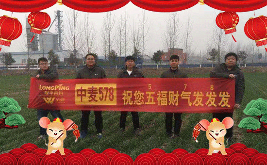 【聯(lián)隆化肥】祝大家在新的一年力身體健康,萬(wàn)事如意!