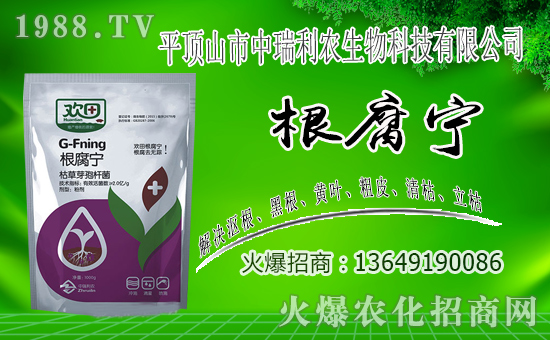 【平頂山中瑞利農(nóng)】恭祝大家新年快樂!萬事如意!2020年財源滾滾!