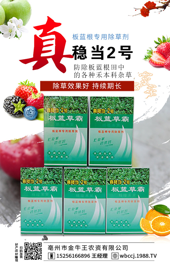 【金牛王】祝廣大經(jīng)銷商朋友們,新的一年生意紅火、財源廣進!