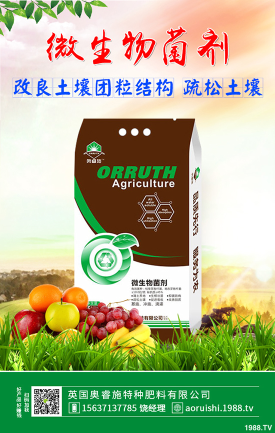 蘋果座果率低怎么辦?蘋果樹座果率低的原因及解決方案!