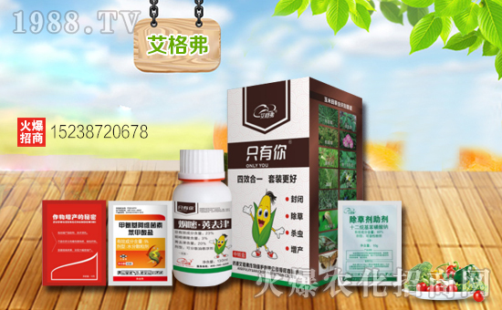 【艾格弗作物】祝新老朋友新春快樂,生意興隆,萬事如意,闔家安康!