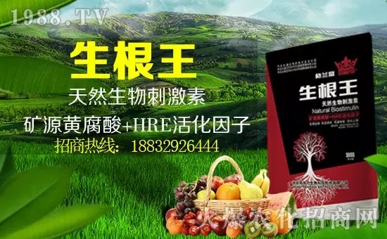 【田加力】祝大家在新的一年里身體健康,闔家歡樂!