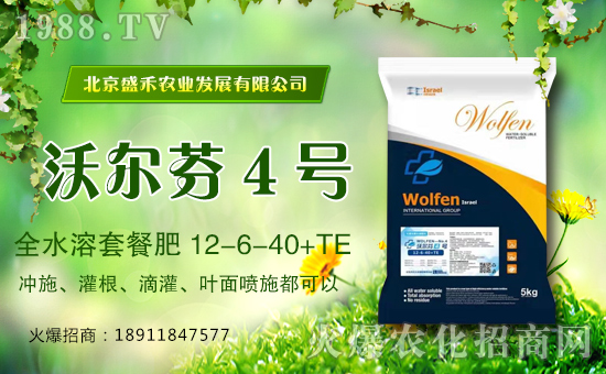 【盛禾農(nóng)業(yè)】祝全國經(jīng)銷商新年快樂,萬事如意,鼠年吉祥!