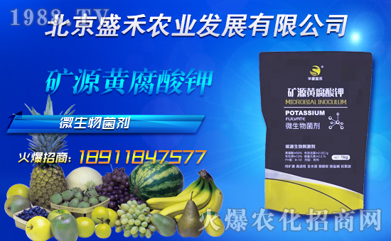 【盛禾農(nóng)業(yè)】祝全國經(jīng)銷商新年快樂,萬事如意,鼠年吉祥!