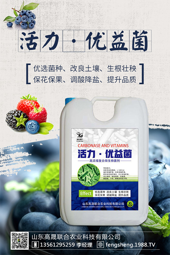 【高晟聯(lián)合】恭祝新老朋友新年快樂(lè),鼠年吉祥!2020財(cái)源滾滾!