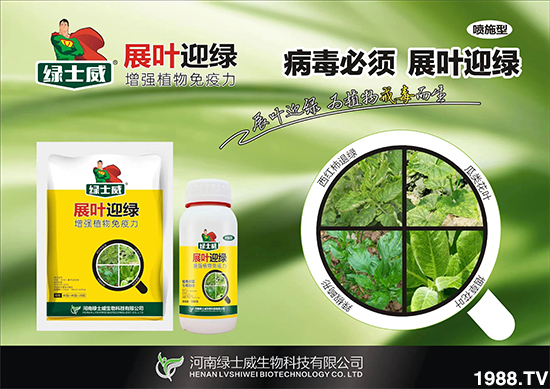 Gʿףȫ(gu)µһ﹤