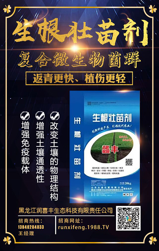【黑龍江潤(rùn)喜豐】祝廣大經(jīng)銷商2020年事業(yè)騰飛!鼠年大吉!新年好!