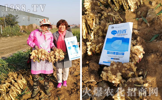 【邦爾泰生物】祝大家2020年鼠年快樂,笑口常開,財源滾滾!