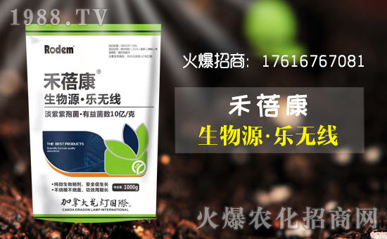 【壽光龍燈】祝全國朋友新年快樂!鼠年大吉!身體健康!財源廣進!