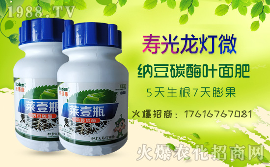 【壽光龍燈】祝全國朋友新年快樂!鼠年大吉!身體健康!財源廣進!