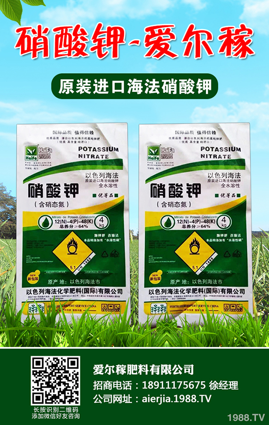 常吃蘆筍對(duì)人體有哪些好處?蘆筍的功效作用及營(yíng)養(yǎng)價(jià)值