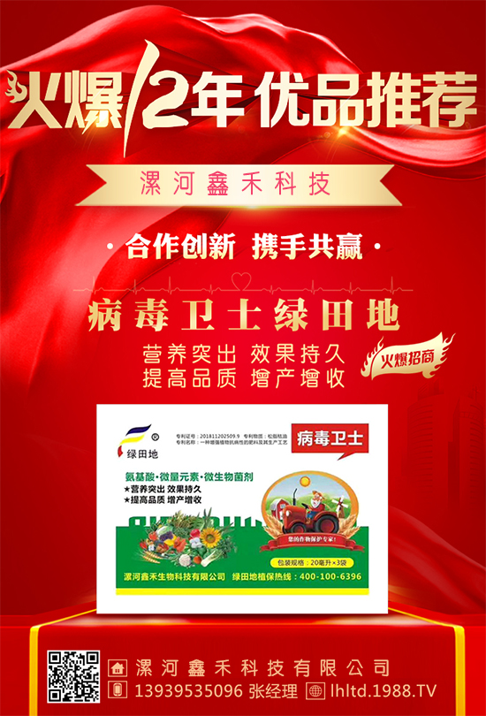 κ̿ƼףϿ͑´죬ؔ(ci)ԴLL