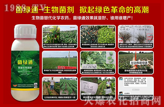 【河南農(nóng)貝得】祝廣大經(jīng)銷商朋友們,新的一年生意紅火、財源廣進!