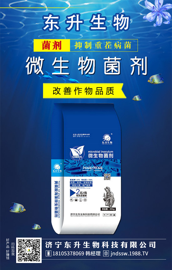 ʯʲôr޽Ӻãʯ޽ӷЩ