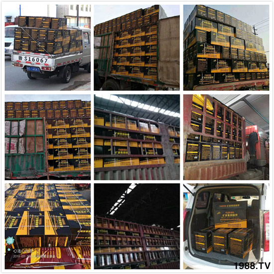 【新疆黑色生態(tài)】全體員工恭祝新老朋友:新年快樂!萬事如意!夜夜“鼠”錢!