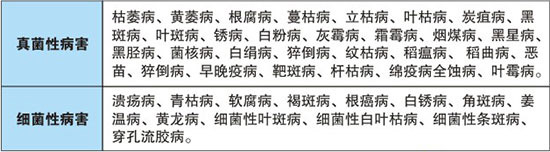 【綠源農(nóng)化】祝您新年快樂!萬事如意!事業(yè)有成!芝麻開花節(jié)節(jié)高!