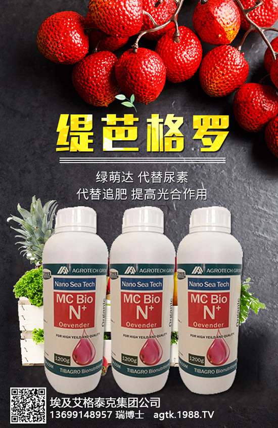 AĠIB(yng)r(ji)ֵЩЧcЩЩȺʳ