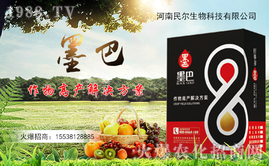 񠖡ףȫтдHҰؔԴLLf