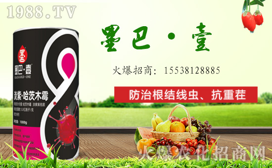 񠖡ףȫтдHҰؔԴLLf